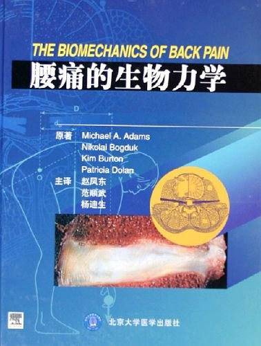 腰痛的生物力学