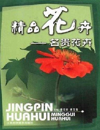 精品花卉