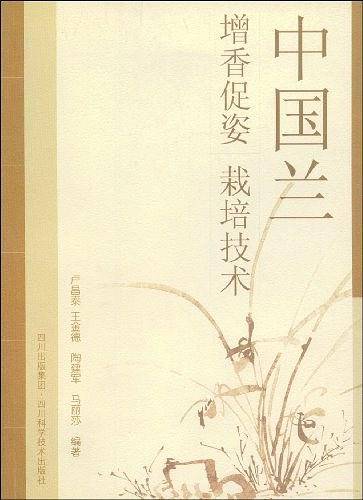 中国兰增香促姿栽培技术