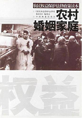 农村婚姻家庭