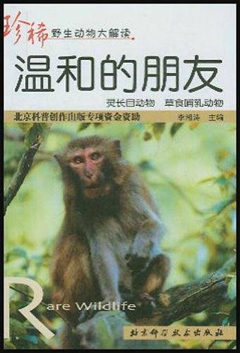 温和的朋友