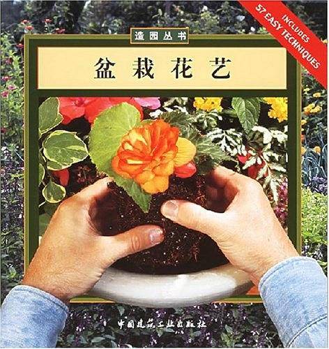 盆栽花艺