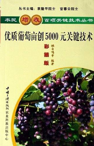 优质葡萄亩创5000元关键技术