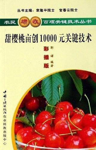 甜樱桃亩创10000元关键技术