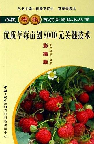 优质草莓亩创8000元关键技术