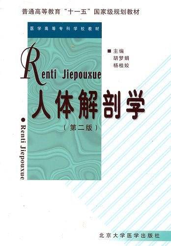 人体解剖学