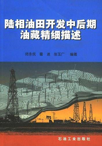 陆相油田开发中后期油藏精细描述