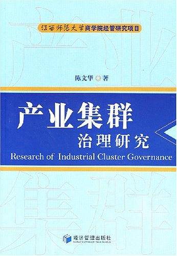 产业集群治理研究
