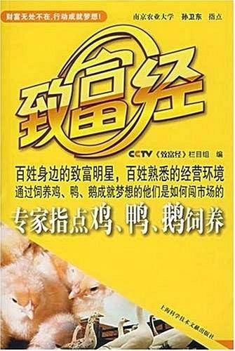 专家指点鸡.鸭.鹅饲养-致富经