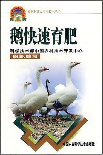 鹅快速育肥