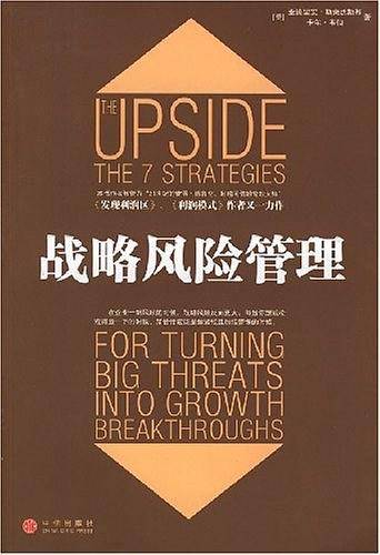 战略风险管理