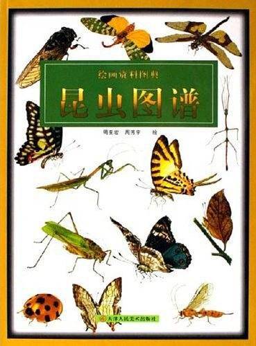 昆虫图谱