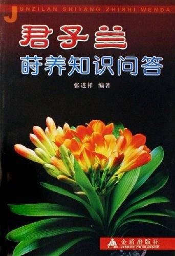 君子兰莳养知识问答