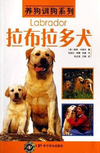 养狗训狗系列——拉布拉多犬
