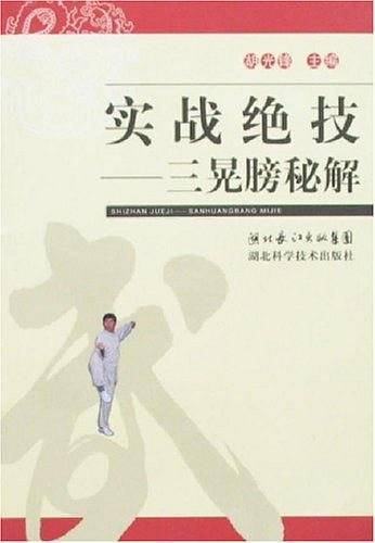 实战绝技-三晃膀秘解