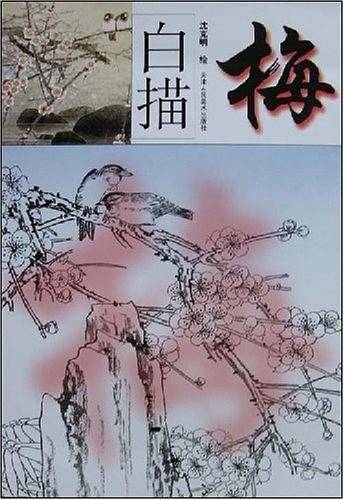 白描梅