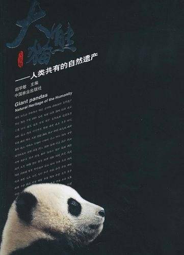 大熊猫