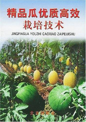 精品瓜优质高效栽培技术