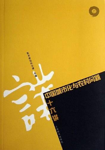 中国城市化与农村问题十六讲