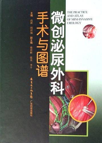 微创泌尿外科手术与图谱