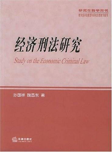 经济刑法研究