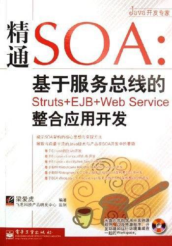 精通SOA：基于服务总线的Struts+EJB+Web Service整合应用开发