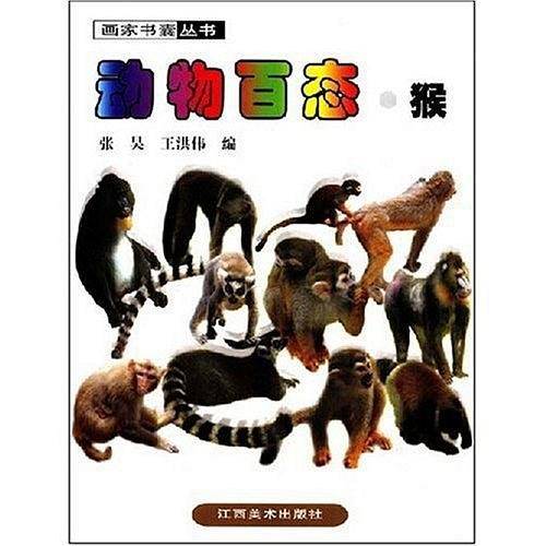 猴-动物百态