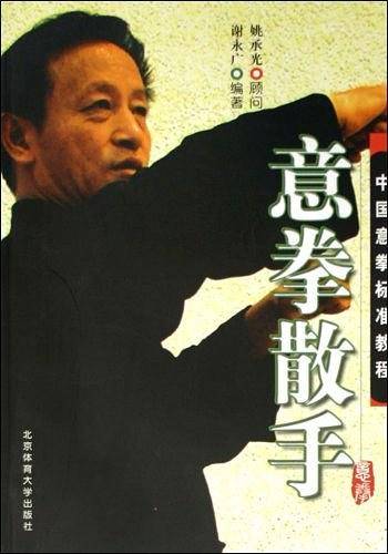 意拳散手