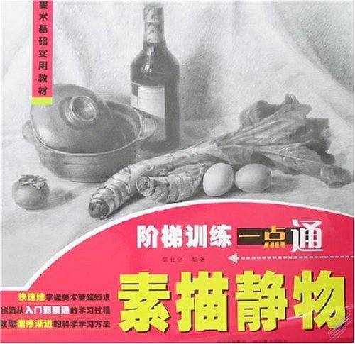素描静物-阶梯训练一点通