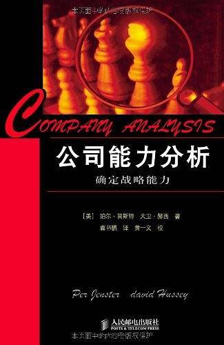 公司能力分析
