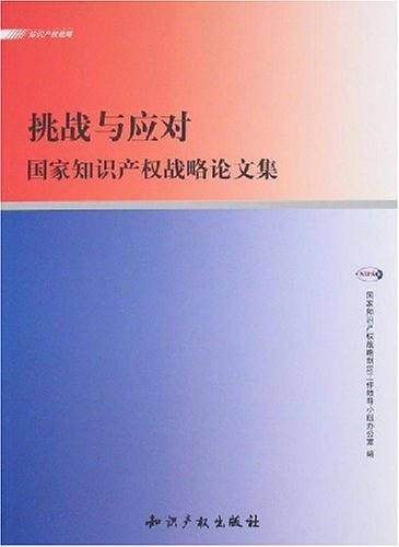 挑战与应对