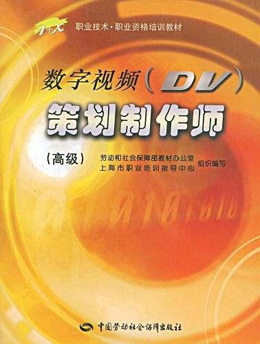 数字视频