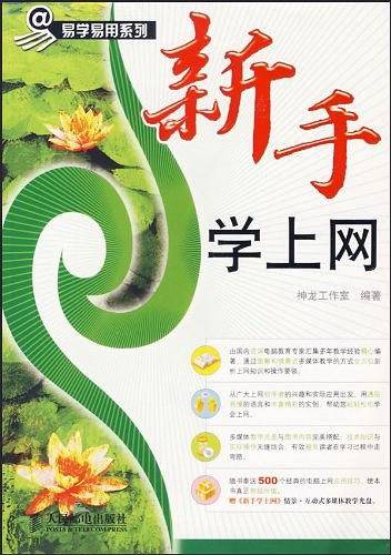 新手学上网
