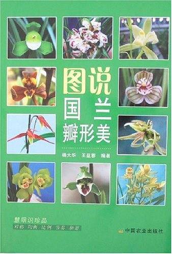 图说国兰瓣形美