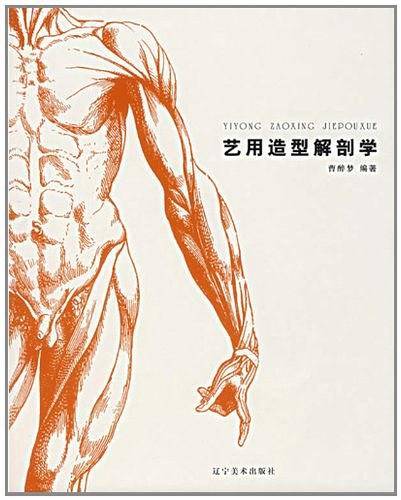 艺用造型解剖学