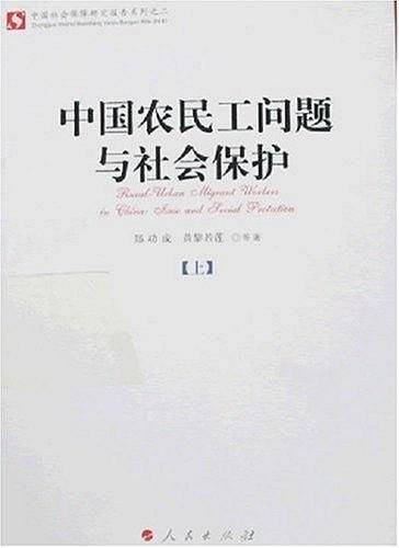 中国农民工问题与社会保护（上下）