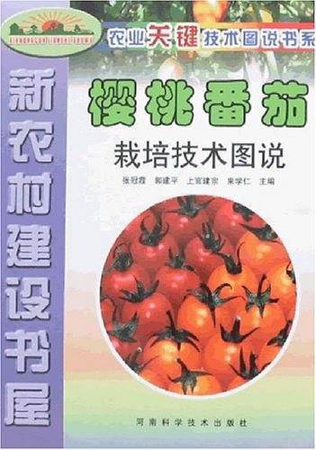 樱桃番茄栽培技术图说