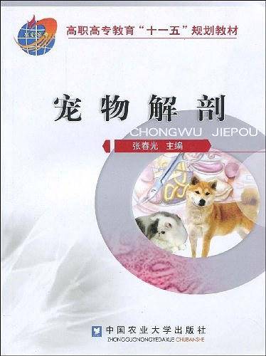 宠物解剖