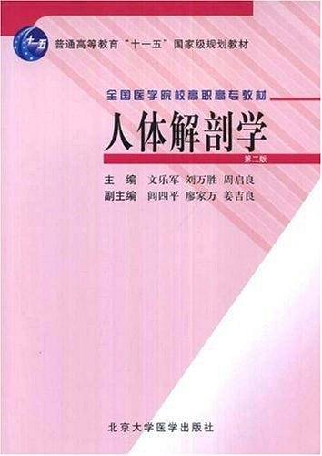 人体解剖学