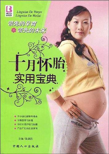 十月怀胎实用宝典
