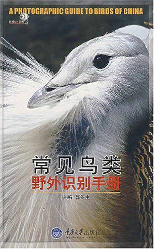常见鸟类野外识别手册