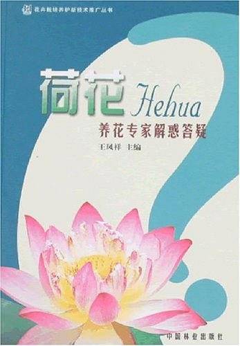 荷花养花专家解惑答疑