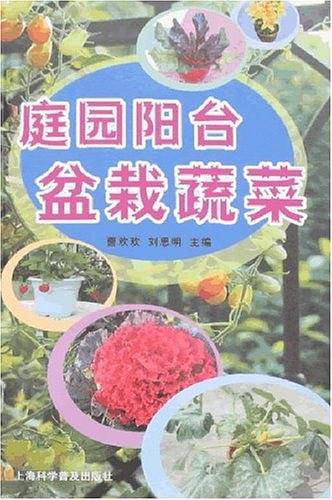庭园阳台盆栽蔬菜