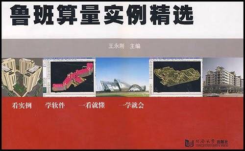 鲁班算量实例精选