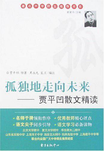 孤独地走向未来