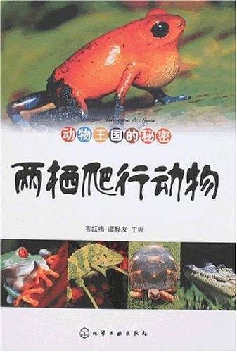 动物王国的秘密