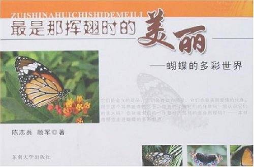 最是那挥翅时的美丽