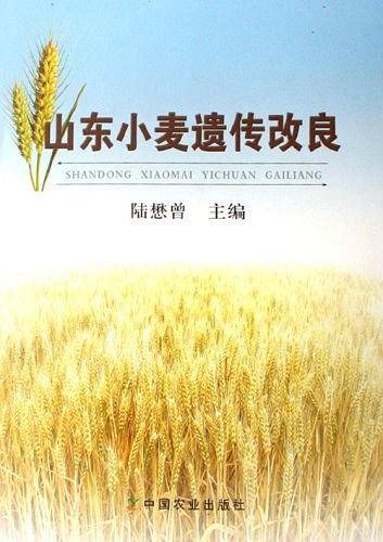 山东小麦遗传改良
