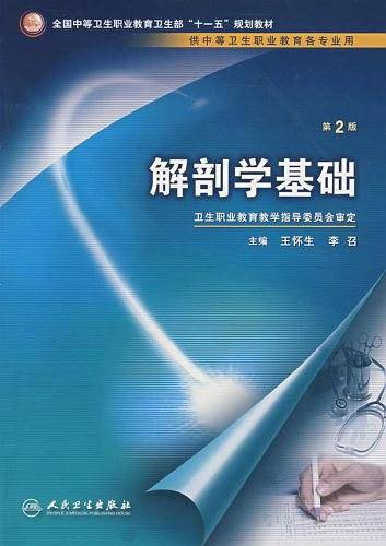 解剖学基础