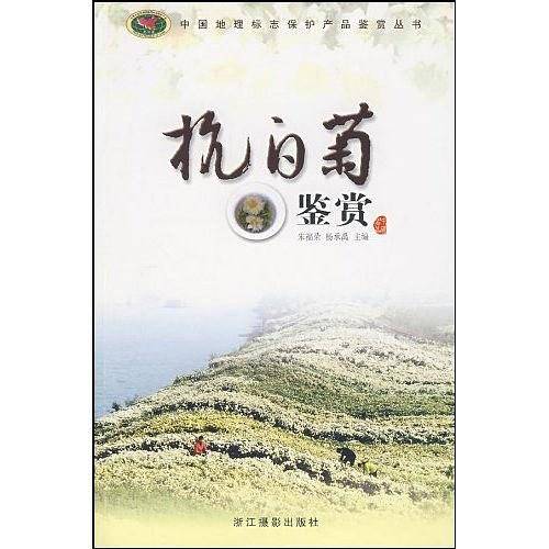 杭白菊鉴赏
